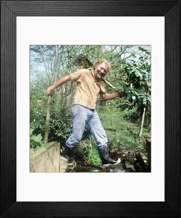 Framed Print : Environmental campaigner David Bellamy. 20th January 1983 Framed Print : Environmental campaigner David Bellamy. 20th January 1983