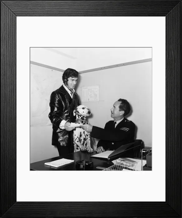 Framed Print : Engelbert Humperdinck collects his Dalmatian dog Cheb Framed Print : Engelbert Humperdinck collects his Dalmatian dog Cheb