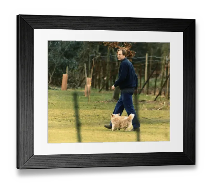 Framed Print : Andrew Parker Bowles husband of Camilla Parker Bowles is seen out walking their pet dog Framed Print : Andrew Parker Bowles husband of Camilla Parker Bowles is seen out walking their pet dog