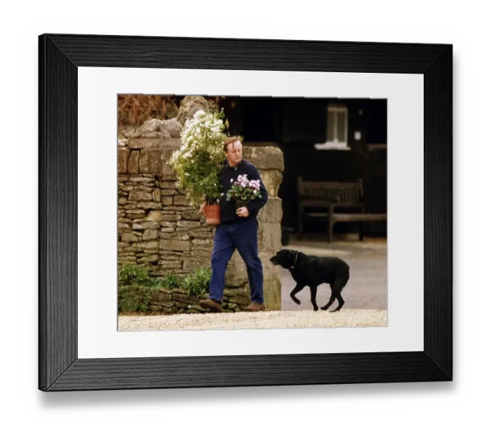Framed Print : Andrew Parker Bowles In His Garden Dbase Framed Print : Andrew Parker Bowles In His Garden Dbase