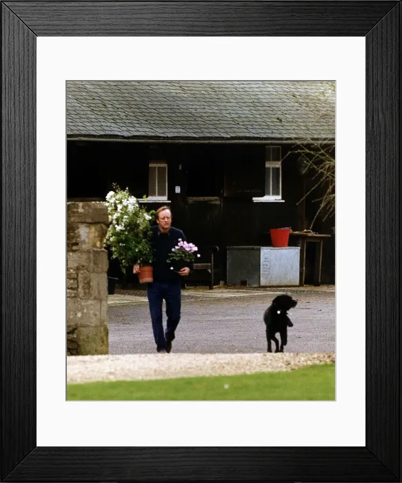 Framed Print : Andrew Parker Bowles In His Garden Dbase Framed Print : Andrew Parker Bowles In His Garden Dbase