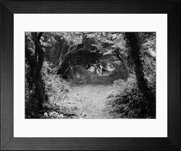 Framed Print : Isle of Wight Festival. People camping out. 21st August 1970 Framed Print : Isle of Wight Festival. People camping out. 21st August 1970