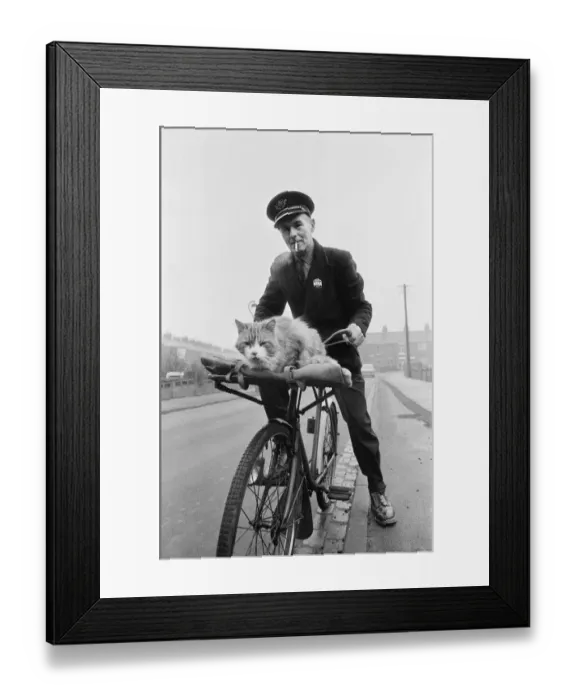 Framed Print : Liverton postman takes his cat on post rounds in Redcar, Cleveland. Circa 1971 Framed Print : Liverton postman takes his cat on post rounds in Redcar, Cleveland. Circa 1971