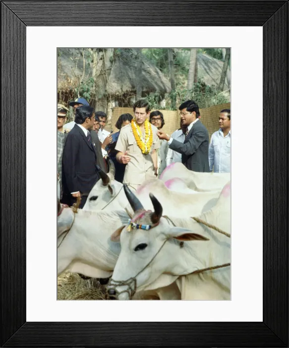 Framed Print : Prince Charles during his tour of India. December 1980 Framed Print : Prince Charles during his tour of India. December 1980