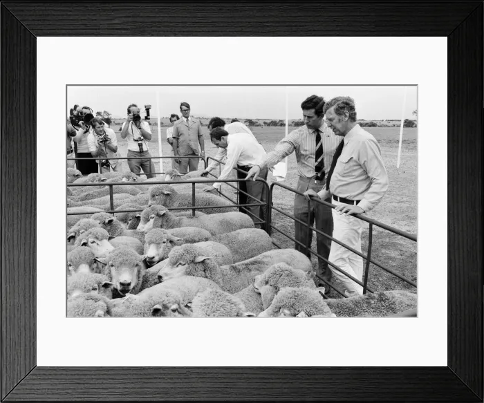 Framed Print : Prince Charles pictured during his visit to Australia. March 1979 Framed Print : Prince Charles pictured during his visit to Australia. March 1979