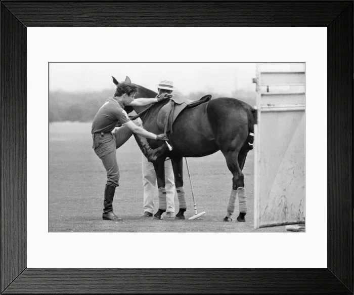 Framed Print : Prince Charles, Prince of Wales, at Palm Beach Polo Club, Florida. 6th April 1980