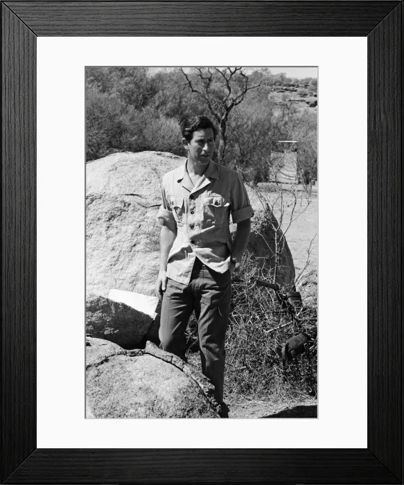 Framed Print : Prince Charles pictured at Goodardy Sheep Station, Western Australia. March 1979 Framed Print : Prince Charles pictured at Goodardy Sheep Station, Western Australia. March 1979