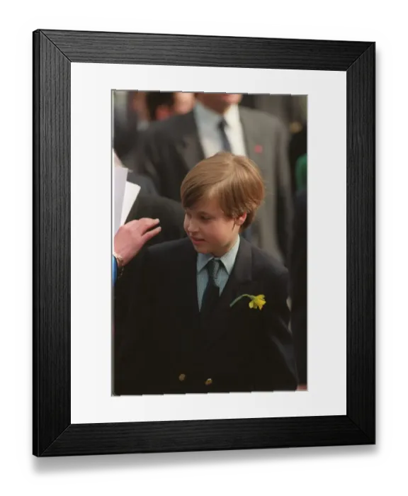 Framed Print : PRINCE WILLIAM OF WALES GLANCES OVER HIS SHOULDER - MARCH 1991 Framed Print : PRINCE WILLIAM OF WALES GLANCES OVER HIS SHOULDER - MARCH 1991
