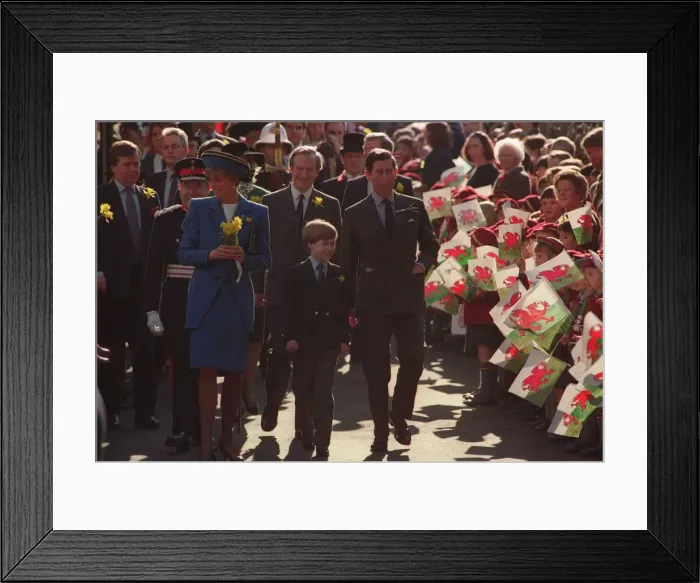 Framed Print : PRINCESS OF WALES WITH PRINCE WILLIAM MEETING CROWDS - MARCH 1991 Framed Print : PRINCESS OF WALES WITH PRINCE WILLIAM MEETING CROWDS - MARCH 1991