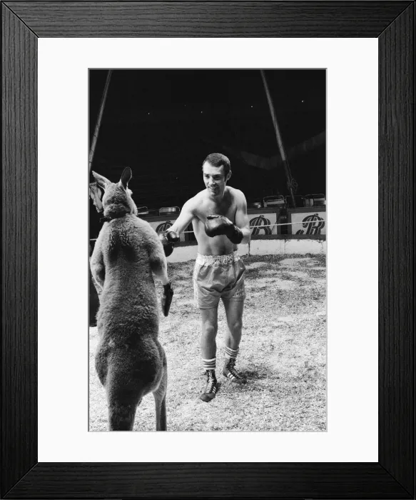 Framed Print : Alan Minter (born 17 August 1951) is a British former professional boxer who competed Framed Print : Alan Minter (born 17 August 1951) is a British former professional boxer who competed
