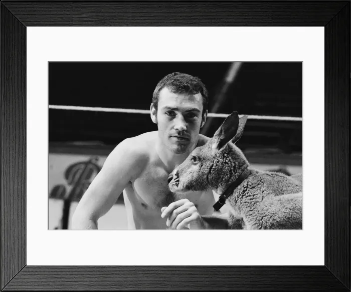 Framed Print : Alan Minter (born 17 August 1951) is a British former professional boxer who competed Framed Print : Alan Minter (born 17 August 1951) is a British former professional boxer who competed