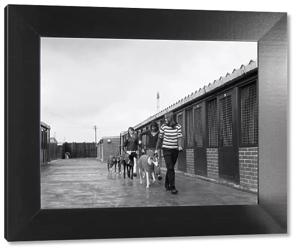 Cleveland Park kennels on the move, Teesside. 1973