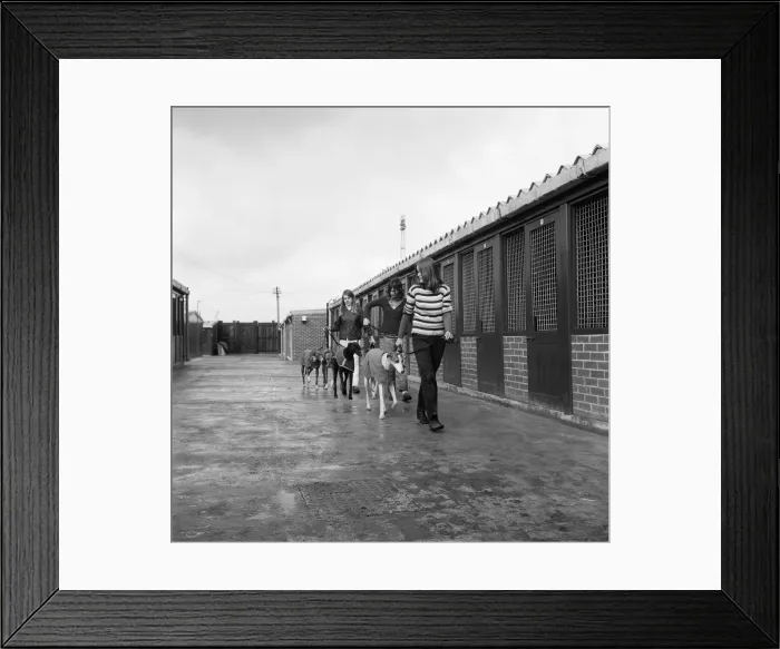 Framed Print : Cleveland Park kennels on the move, Teesside. 1973 Framed Print : Cleveland Park kennels on the move, Teesside. 1973