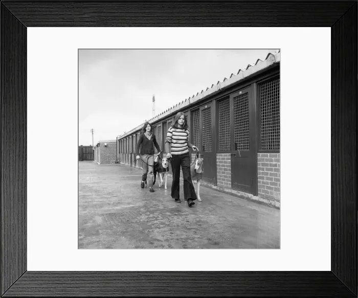 Framed Print : Cleveland Park kennels on the move, Teesside. 1973 Framed Print : Cleveland Park kennels on the move, Teesside. 1973