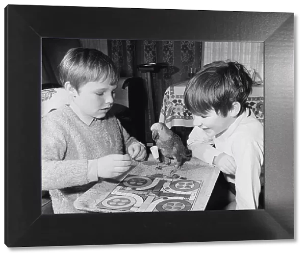 Parrot plays Ludo with two boys. Circa 1972