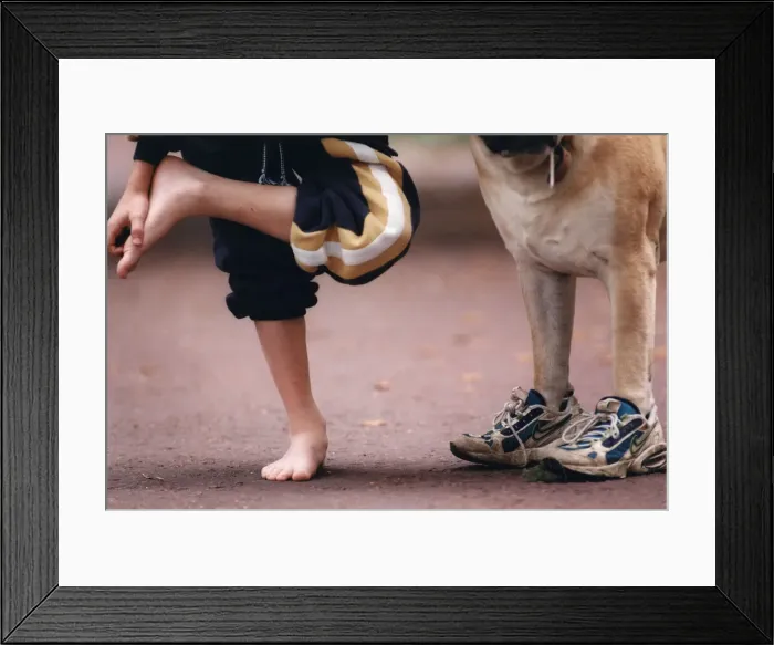 Framed Print : Picture shows a dog wearing trainers presumably belonging to the young boy on the left