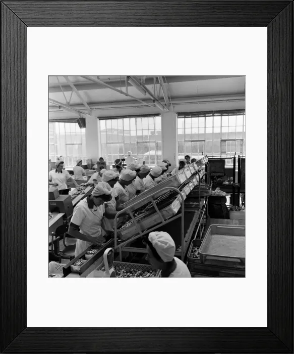 Framed Print : Bassets confectionery factory, Owlerton, Sheffield. 4th September 1967 Framed Print : Bassets confectionery factory, Owlerton, Sheffield. 4th September 1967