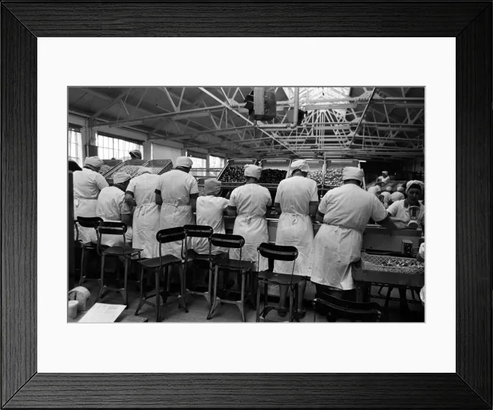 Framed Print : Bassets confectionery factory, Owlerton, Sheffield. 4th September 1967 Framed Print : Bassets confectionery factory, Owlerton, Sheffield. 4th September 1967