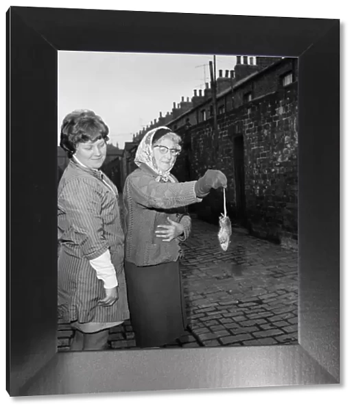 Women in Middlesbrough, one of them holding a rat. 1971
