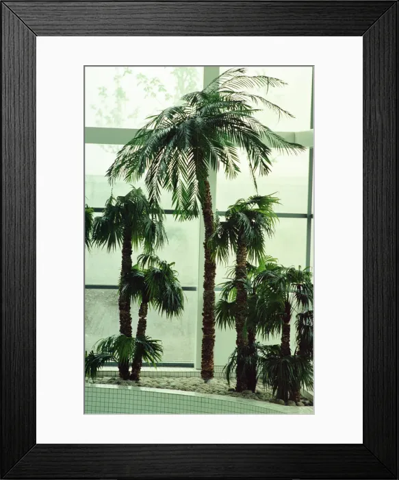 Framed Print : Wet N Wild indoor water park situated in North Shields, Tyne and Wear, England Framed Print : Wet N Wild indoor water park situated in North Shields, Tyne and Wear, England