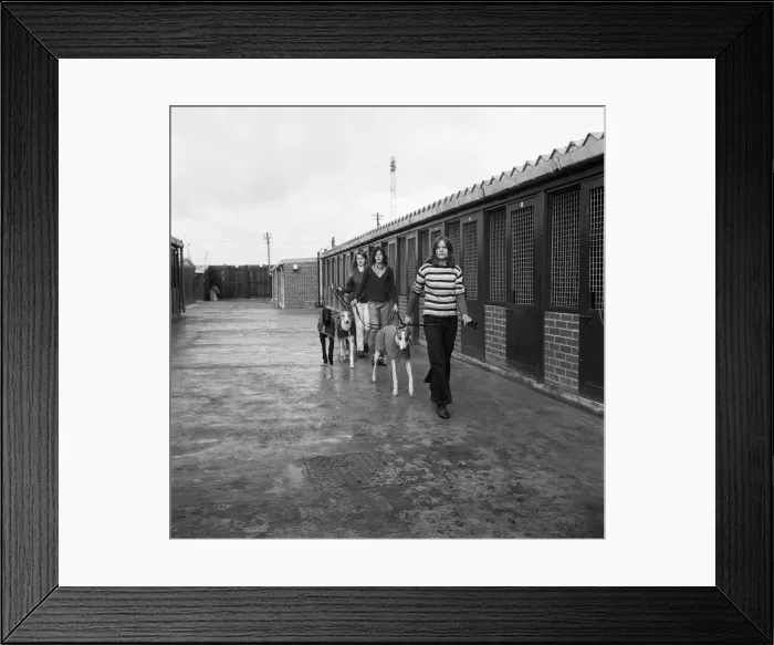 Framed Print : Cleveland Park kennels on the move, Teesside. 1973 Framed Print : Cleveland Park kennels on the move, Teesside. 1973