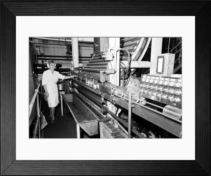 Framed Print : Batchelors food factory, Wadsley Bridge, Sheffield. Margaret Jarvis Framed Print : Batchelors food factory, Wadsley Bridge, Sheffield. Margaret Jarvis