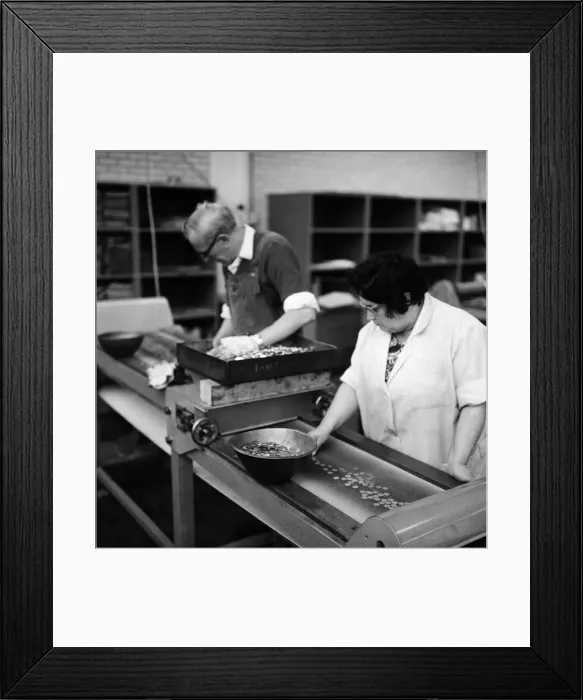 Framed Print : Workers at the Birmingham Mint, Birmingham, West Midlands. October 1967 Framed Print : Workers at the Birmingham Mint, Birmingham, West Midlands. October 1967