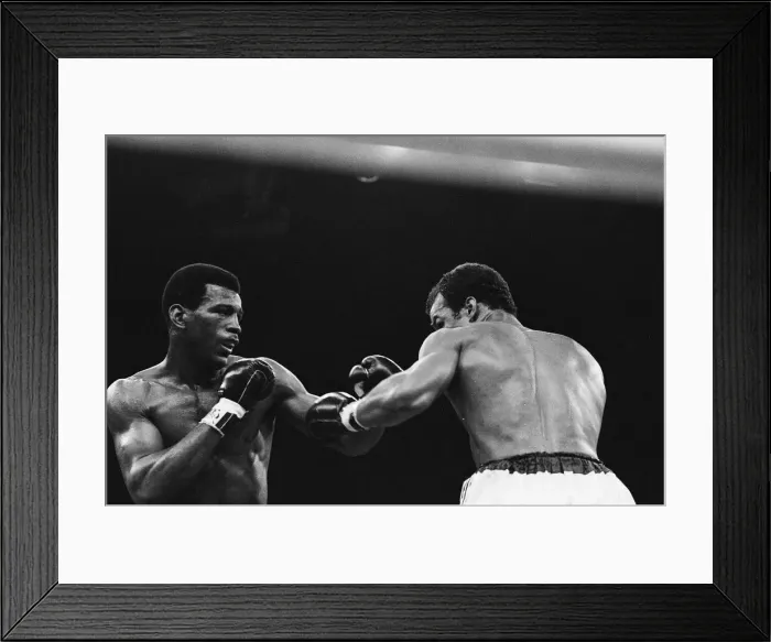 Framed Print : John Conteh vs Matthew Saad Muhammad II. For WBC and The Ring light-heavyweight titles Framed Print : John Conteh vs Matthew Saad Muhammad II. For WBC and The Ring light-heavyweight titles