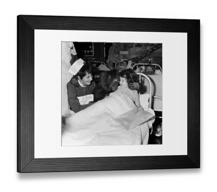 Framed Print : Louie, the young Orangutan from Flamingo Park Zoo giving 6 year old Janice Barnes of Framed Print : Louie, the young Orangutan from Flamingo Park Zoo giving 6 year old Janice Barnes of