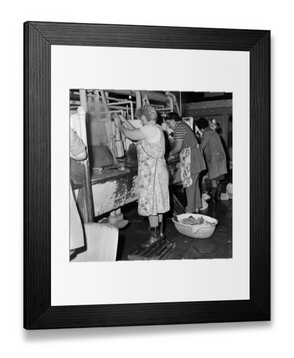 Framed Print : Newcastle women washing their clothes at Snow Street Wash House, Newcastle Framed Print : Newcastle women washing their clothes at Snow Street Wash House, Newcastle