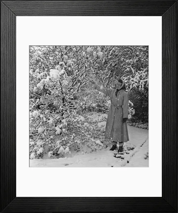 Framed Print : Snow in April. Snow scenes in Tadworth, Surrey. Tadworth is a large suburban Framed Print : Snow in April. Snow scenes in Tadworth, Surrey. Tadworth is a large suburban