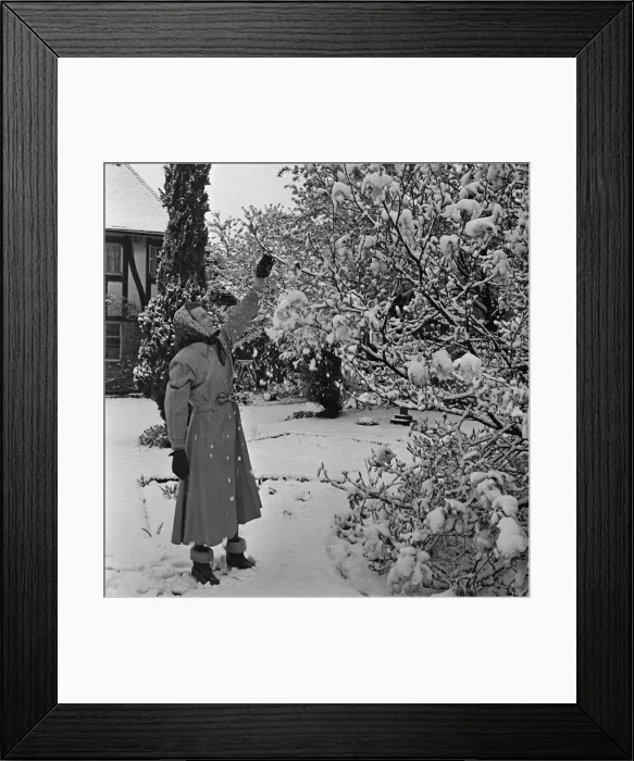Framed Print : Snow in April. Snow scenes in Tadworth, Surrey. Tadworth is a large suburban Framed Print : Snow in April. Snow scenes in Tadworth, Surrey. Tadworth is a large suburban
