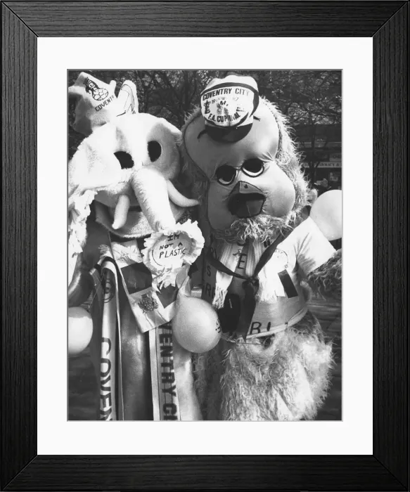 Framed Print : FA Cup Final Coventry City v Tottenham Hotspur Wembley 1987 Mascot Sky Framed Print : FA Cup Final Coventry City v Tottenham Hotspur Wembley 1987 Mascot Sky