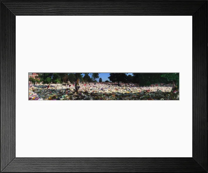 Framed Print : Princess Dianas death. Kensington Palace flowers (4 part join up) - 08 / 09 / 1997 Framed Print : Princess Dianas death. Kensington Palace flowers (4 part join up) - 08 / 09 / 1997