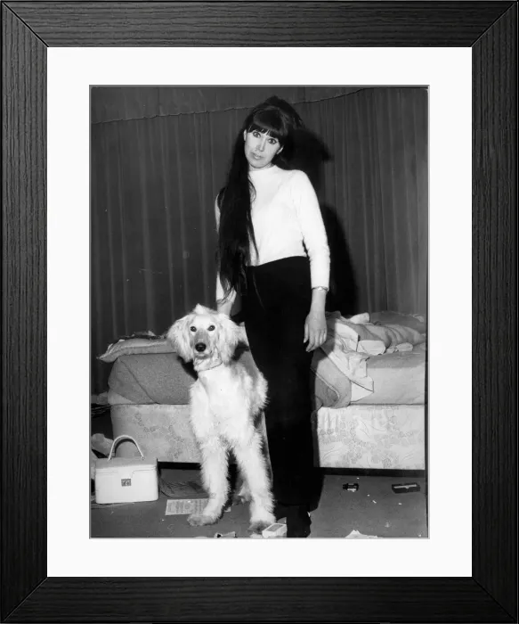 Framed Print : ANITA HARRIS AFTER HER FLAT WAS BURGLED - 1965 Framed Print : ANITA HARRIS AFTER HER FLAT WAS BURGLED - 1965
