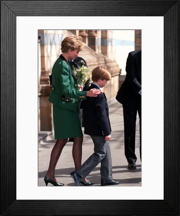 Framed Print : PRINCESS OF WALES WITH PRINCE HARRY AND PRINCE WILLIAM AT NATURAL HISTORY MUSEUM APRIL Framed Print : PRINCESS OF WALES WITH PRINCE HARRY AND PRINCE WILLIAM AT NATURAL HISTORY MUSEUM APRIL