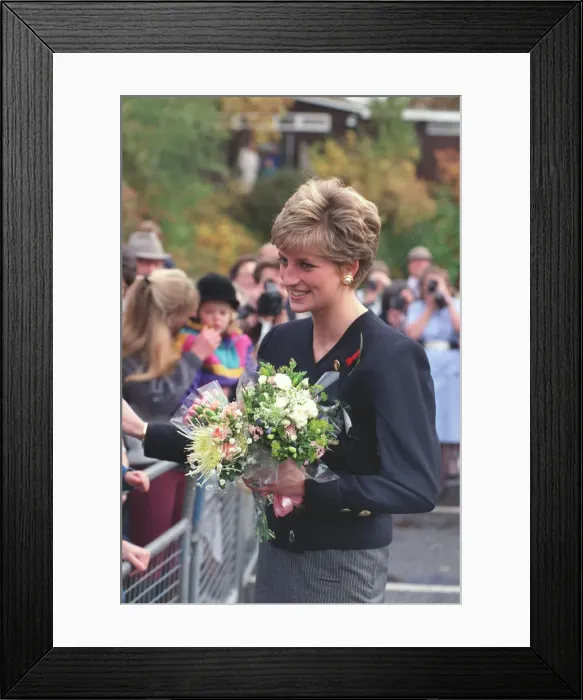 Framed Print : DIANA, PRINCESS OF WALES - NOVEMBER 1991