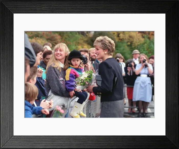 Framed Print : DIANA, PRINCESS OF WALES - NOVEMBER 1991 Framed Print : DIANA, PRINCESS OF WALES - NOVEMBER 1991