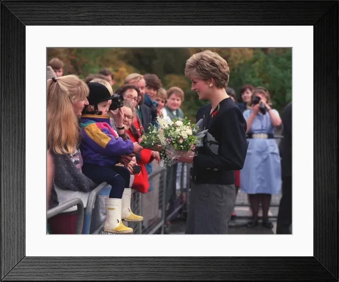 Framed Print : DIANA, PRINCESS OF WALES - NOVEMBER 1991 Framed Print : DIANA, PRINCESS OF WALES - NOVEMBER 1991