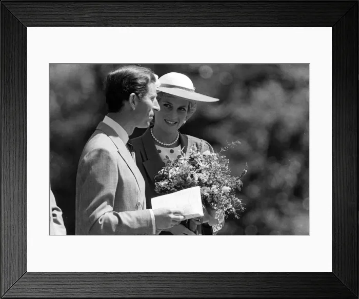 Framed Print : PRINCE AND PRINCESS OF WALES DURING A TRIP TO AMERICA 01 / 11 / 1985 CODE Framed Print : PRINCE AND PRINCESS OF WALES DURING A TRIP TO AMERICA 01 / 11 / 1985 CODE