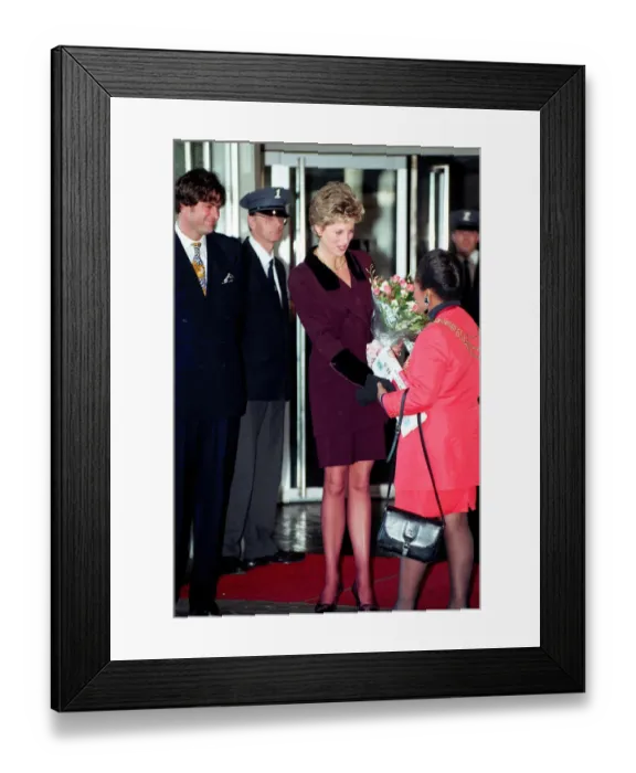 Framed Print : PRINCESS OF WALES WEARING A PURPLE SKIRT SUIT RECEIVING FLOWERS OUTSIDE THE NATIONAL Framed Print : PRINCESS OF WALES WEARING A PURPLE SKIRT SUIT RECEIVING FLOWERS OUTSIDE THE NATIONAL
