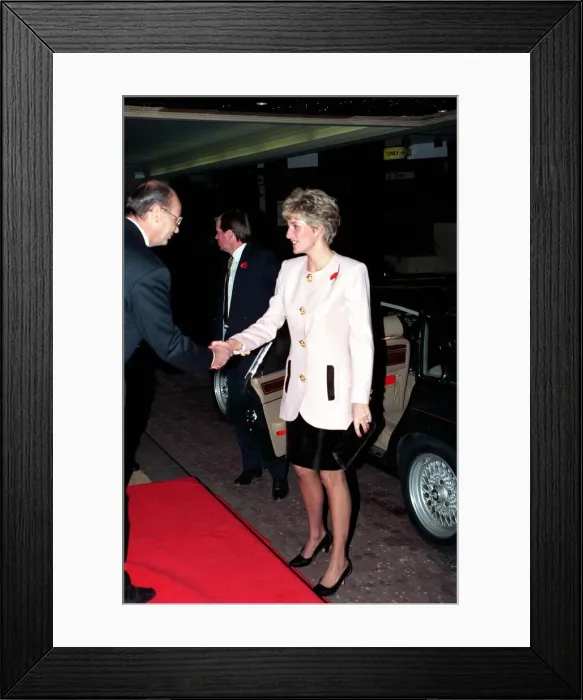 Framed Print : DIANA, THE PRINCESS OF WALES WEARING PINK 1991 Framed Print : DIANA, THE PRINCESS OF WALES WEARING PINK 1991