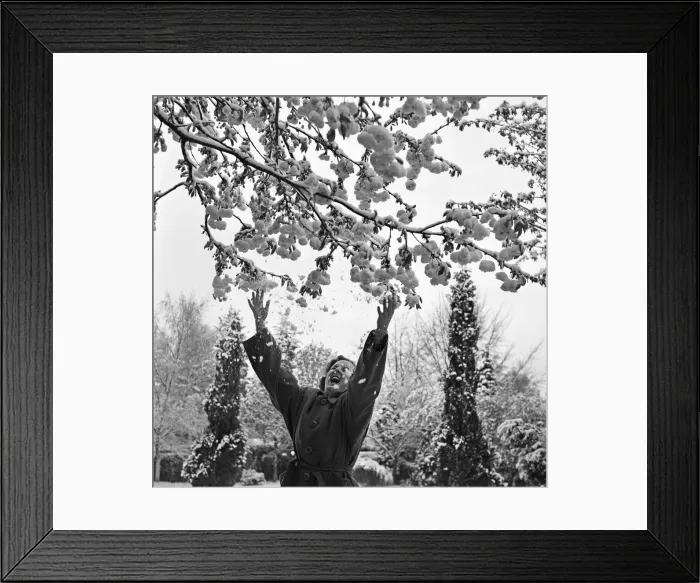 Framed Print : Snow in April. Snow scenes in Tadworth, Surrey. Tadworth is a large suburban Framed Print : Snow in April. Snow scenes in Tadworth, Surrey. Tadworth is a large suburban