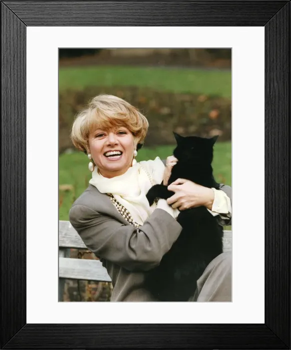 Framed Print : Elaine Paige holding black cat smiling at press call - 09 / 05 / 1992 Framed Print : Elaine Paige holding black cat smiling at press call - 09 / 05 / 1992