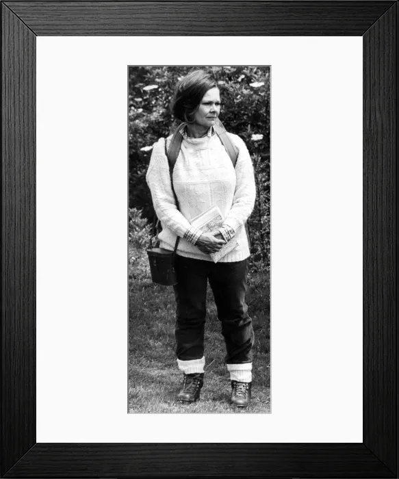 Framed Print : Dame Judi Dench 15th June 1988 Framed Print : Dame Judi Dench 15th June 1988