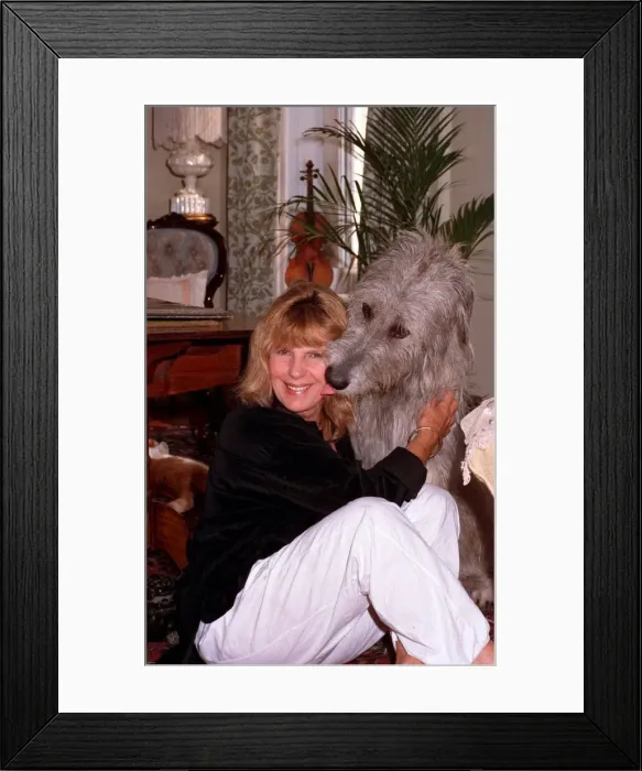 Framed Print : CARLA LANE (TV WRITER) WITH HER DOG 16 / 06 / 1989 Framed Print : CARLA LANE (TV WRITER) WITH HER DOG 16 / 06 / 1989