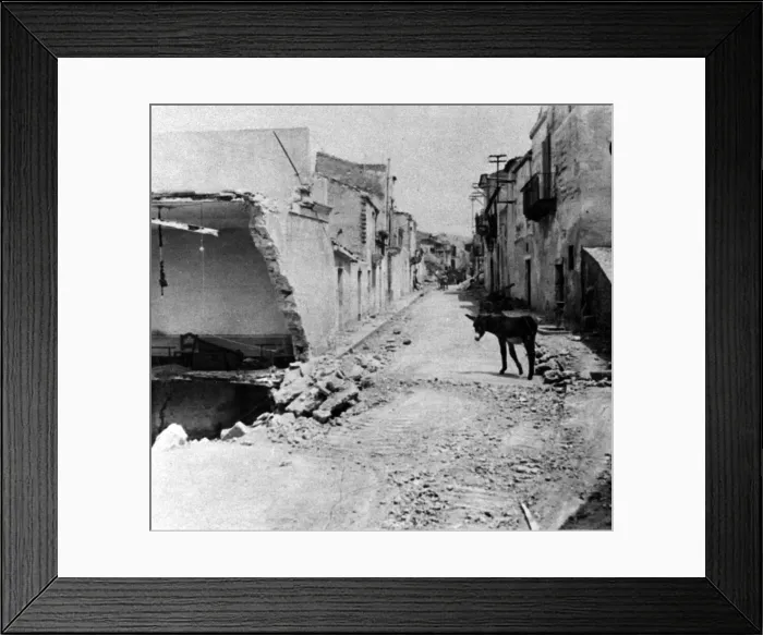 Framed Print : An ass in the street in Sicily, Italy, following Operation Husky. August 1943 Framed Print : An ass in the street in Sicily, Italy, following Operation Husky. August 1943