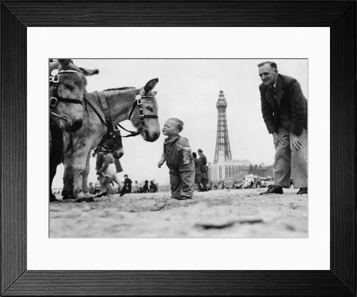 Framed Print : Young boy on Blackpool beach as family take a holiday near the end of the Second World Framed Print : Young boy on Blackpool beach as family take a holiday near the end of the Second World
