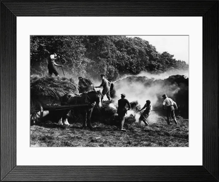 Framed Print : Destruction by fire of three stacks and a farm wagon laden with sheaves of corn near a Framed Print : Destruction by fire of three stacks and a farm wagon laden with sheaves of corn near a
