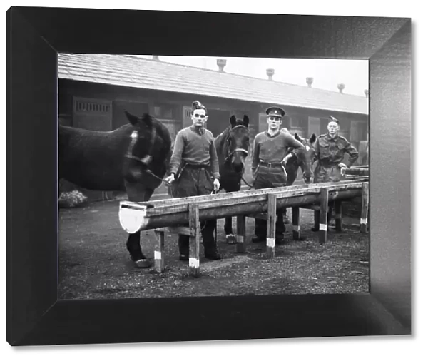 Three British soldiers pictured at the horse stables in the Hull area of England